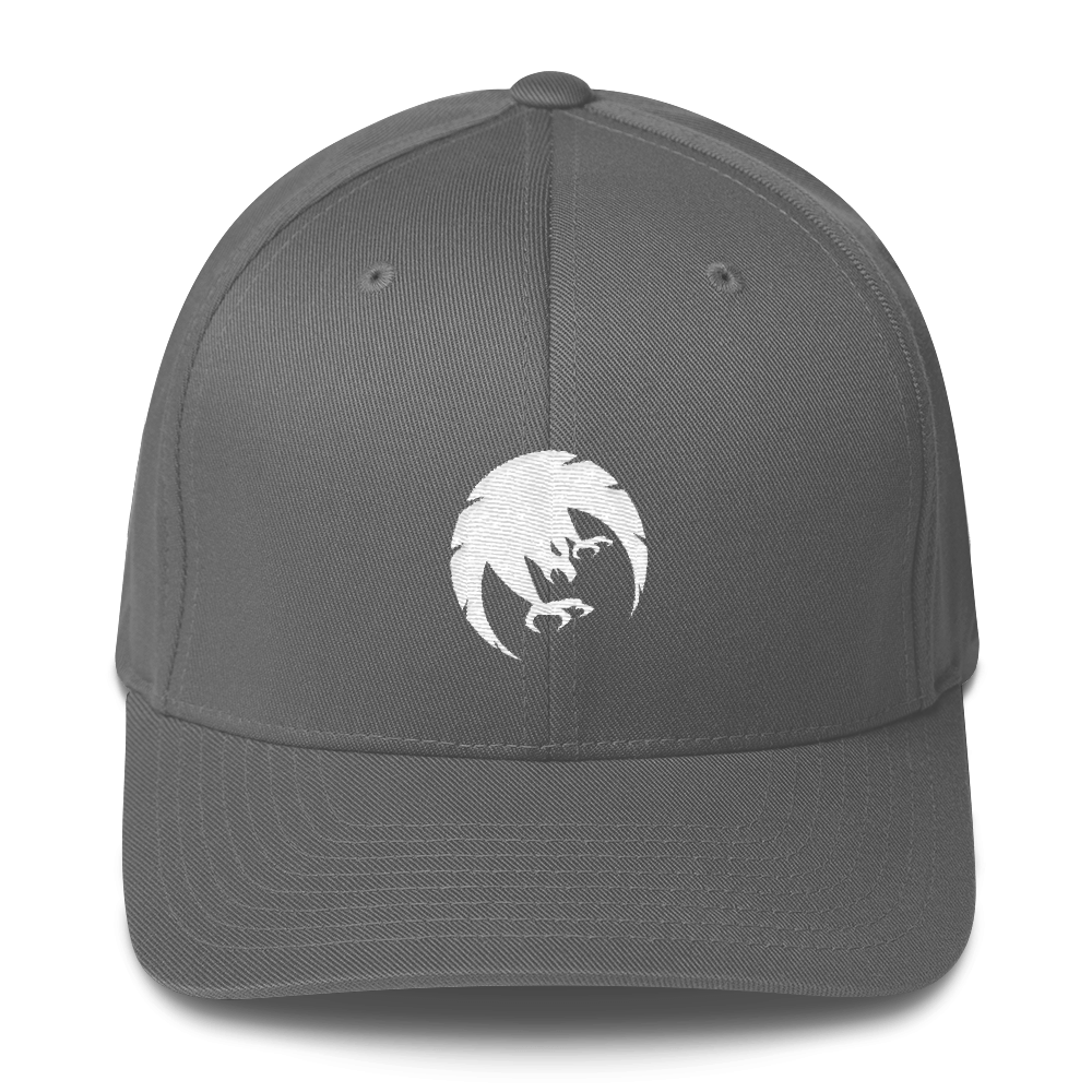 Fearless State Logo Hat Gray